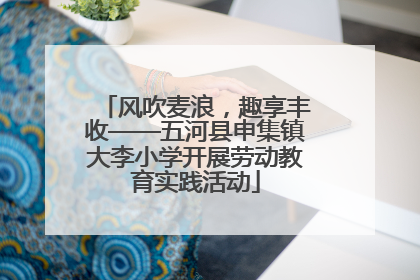 风吹麦浪，趣享丰收——五河县申集镇大李小学开展劳动教育实践活动