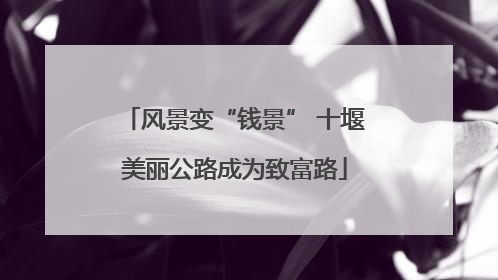 风景变“钱景” 十堰美丽公路成为致富路