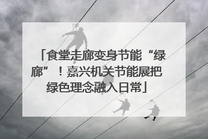 食堂走廊变身节能“绿廊”！嘉兴机关节能展把绿色理念融入日常