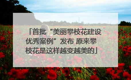 首批“美丽攀枝花建设优秀案例”发布 原来攀枝花是这样越变越美的