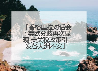 香格里拉对话会：美欧分歧再次显现 美关税政策引发各大洲不安