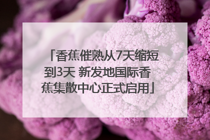 香蕉催熟从7天缩短到3天 新发地国际香蕉集散中心正式启用