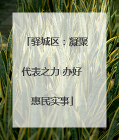 驿城区：凝聚代表之力 办好惠民实事