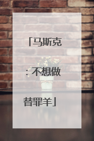 马斯克：不想做替罪羊