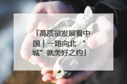 高质量发展看中国｜一路向北 “城”就美好之约
