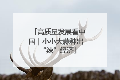 高质量发展看中国｜小小大蒜种出“辣”经济