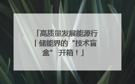 高质量发展能源行丨储能界的“技术盲盒” 开箱！