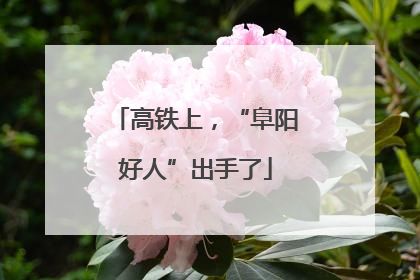 高铁上，“阜阳好人”出手了
