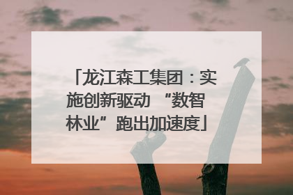 龙江森工集团：实施创新驱动 “数智林业”跑出加速度