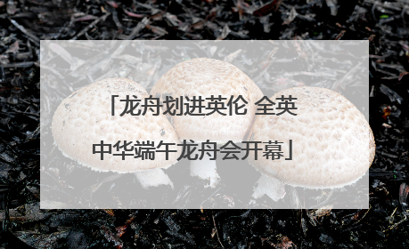 龙舟划进英伦 全英中华端午龙舟会开幕