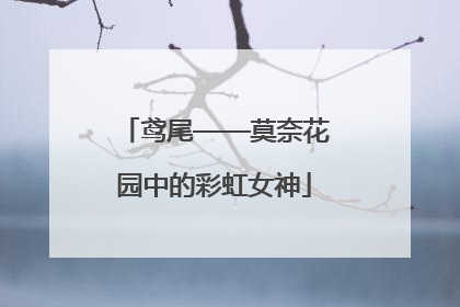 鸢尾——莫奈花园中的彩虹女神