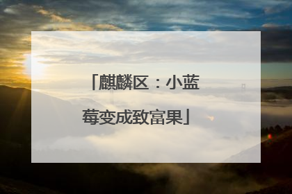 麒麟区：小蓝莓变成致富果