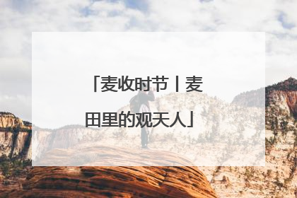 麦收时节丨麦田里的观天人