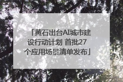 黄石出台AI城市建设行动计划 首批27个应用场景清单发布