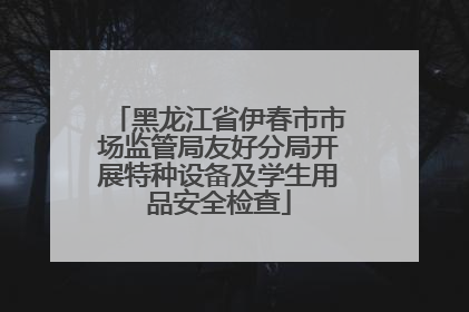 黑龙江省伊春市市场监管局友好分局开展特种设备及学生用品安全检查