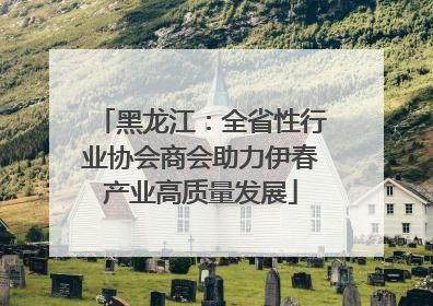 黑龙江：全省性行业协会商会助力伊春产业高质量发展