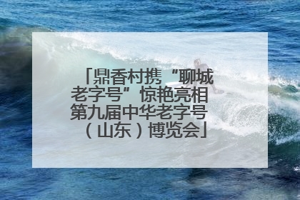 鼎香村携“聊城老字号”惊艳亮相第九届中华老字号(山东)博览会