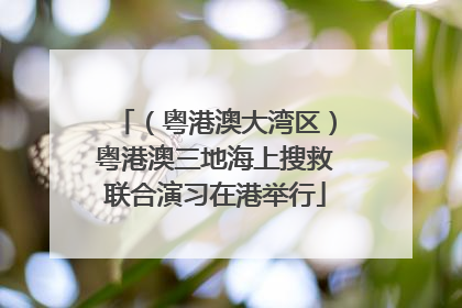 （粤港澳大湾区）粤港澳三地海上搜救联合演习在港举行