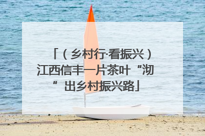 （乡村行·看振兴）江西信丰一片茶叶“沏”出乡村振兴路