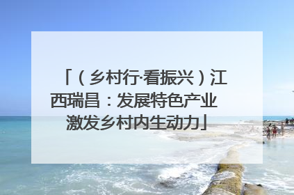 （乡村行·看振兴）江西瑞昌：发展特色产业 激发乡村内生动力
