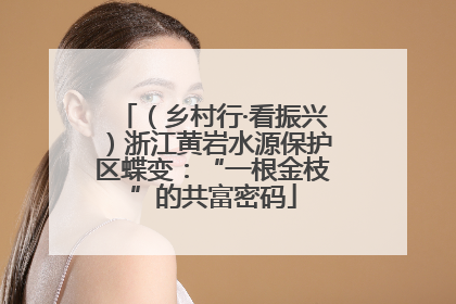 （乡村行·看振兴）浙江黄岩水源保护区蝶变：“一根金枝”的共富密码