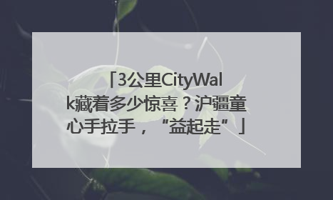 3公里CityWalk藏着多少惊喜？沪疆童心手拉手，“益起走”