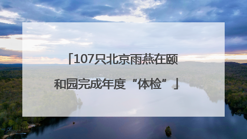107只北京雨燕在颐和园完成年度“体检”