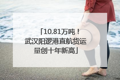 10.81万吨！武汉阳逻港直航货运量创十年新高