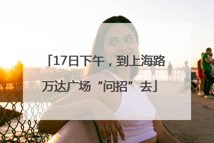 17日下午，到上海路万达广场“问招”去