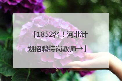 1852名！河北计划招聘特岗教师→