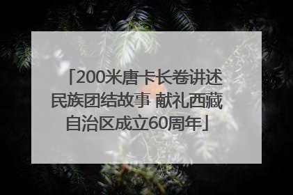 200米唐卡长卷讲述民族团结故事 献礼西藏自治区成立60周年