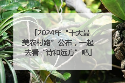 2024年“十大最美农村路”公布，一起去看“诗和远方”吧