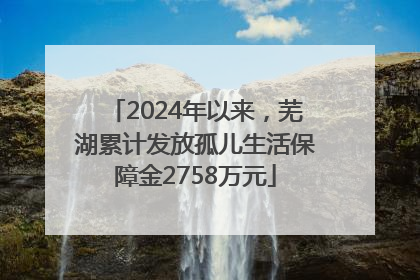 2024年以来，芜湖累计发放孤儿生活保障金2758万元
