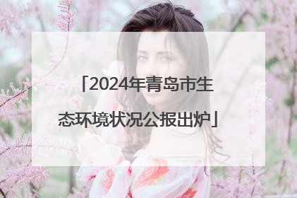 2024年青岛市生态环境状况公报出炉