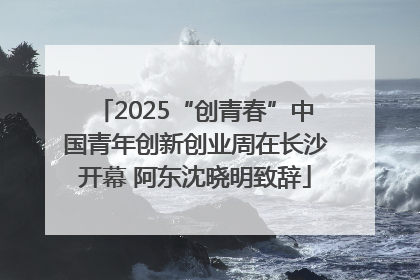 2025“创青春”中国青年创新创业周在长沙开幕 阿东沈晓明致辞