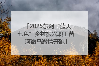 2025东阿“蓝天七色”乡村振兴职工黄河微马激情开跑