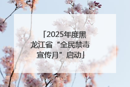 2025年度黑龙江省“全民禁毒宣传月”启动