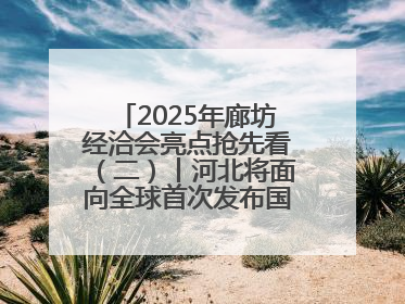 2025年廊坊经洽会亮点抢先看（二）丨河北将面向全球首次发布国际化招商地图