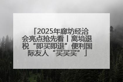 2025年廊坊经洽会亮点抢先看丨离境退税“即买即退”便利国际友人“买买买”