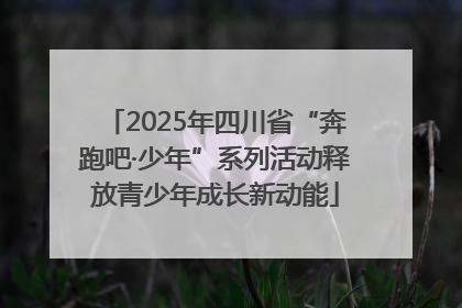 2025年四川省“奔跑吧·少年”系列活动释放青少年成长新动能