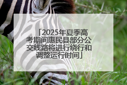 2025年夏季高考期间惠民县部分公交线路将进行绕行和调整运行时间