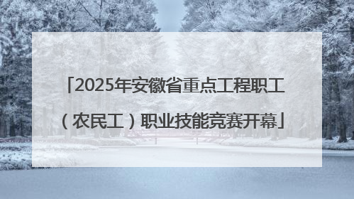 2025年安徽省重点工程职工（农民工）职业技能竞赛开幕