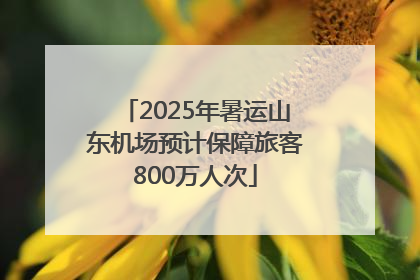 2025年暑运山东机场预计保障旅客800万人次