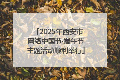 2025年西安市网络中国节·端午节主题活动顺利举行