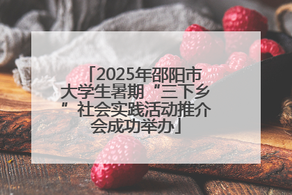 2025年邵阳市大学生暑期“三下乡”社会实践活动推介会成功举办
