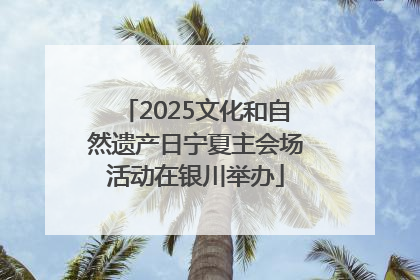 2025文化和自然遗产日宁夏主会场活动在银川举办
