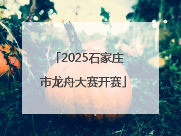 2025石家庄市龙舟大赛开赛