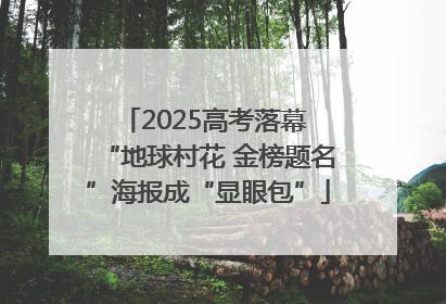 2025高考落幕 “地球村花 金榜题名”海报成“显眼包”