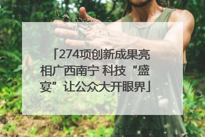 274项创新成果亮相广西南宁 科技“盛宴”让公众大开眼界
