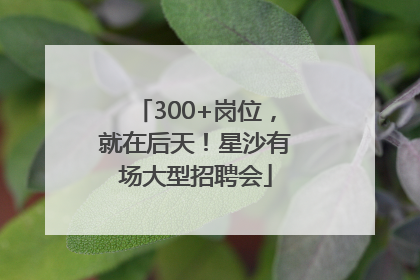 300+岗位，就在后天！星沙有场大型招聘会